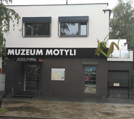 Muzeum motyli w Łebie