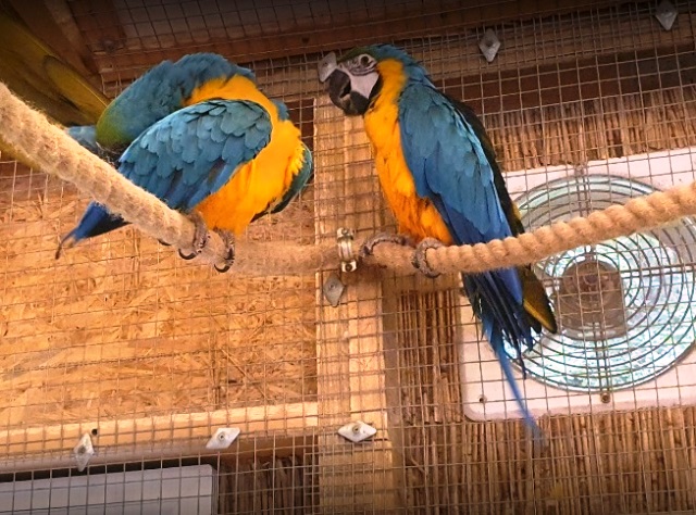 Pobierowo Sehenswürdigkeiten