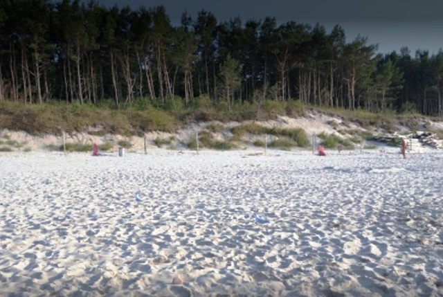 Dziwnówek - plaża z lasem w tle