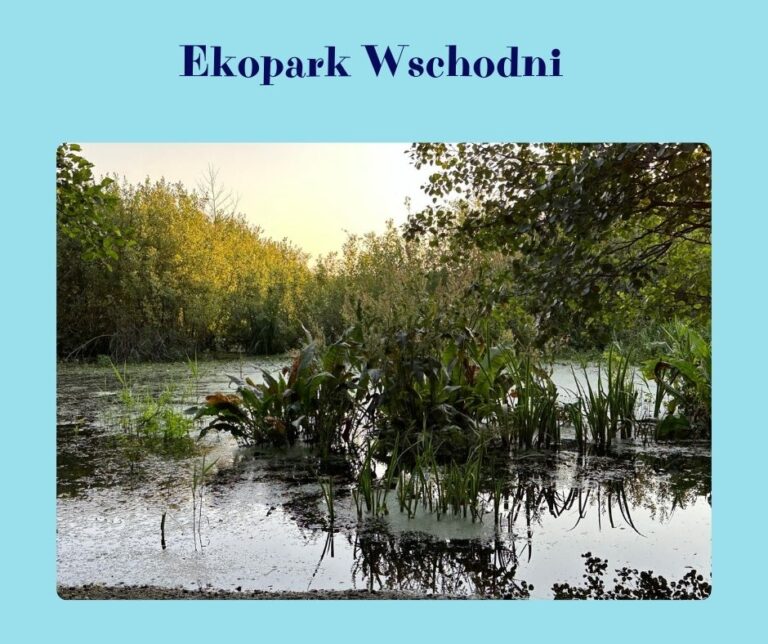 Ekopark Wschodni